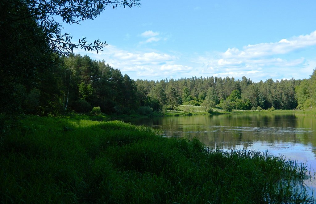 Речная рыбалка в мае. Специфика 00005.JPG